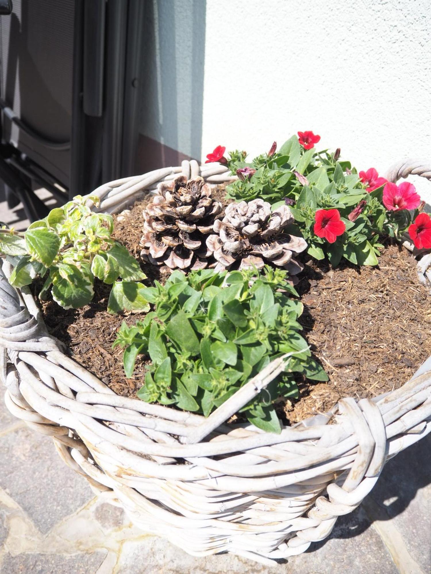 Appartement Felsenheim Westendorf Eksteriør billede